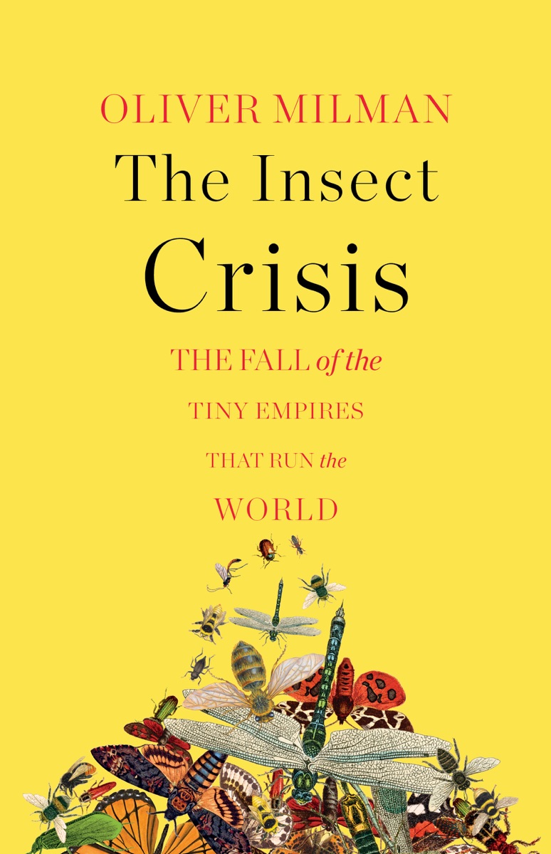 Cover of The Insect Crisis